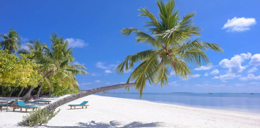 Una prístina playa de arena blanca bordeada de palmeras, frente a las tranquilas y claras aguas azules del océano bajo un cielo brillante y soleado. Hay varias tumbonas colocadas a lo largo de la orilla.