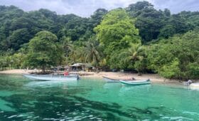 Pequeñas embarcaciones están ancladas cerca de una playa tropical con aguas cristalinas de color turquesa en la Alta Guajira, respaldadas por exuberantes árboles verdes y vegetación bajo un cielo nublado.