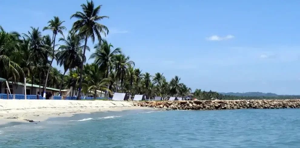 Una playa de arena bordeada de palmeras y edificios se extiende a lo largo de las claras aguas azules de un mar en calma bajo un cielo brillante y despejado, que recuerda la serena belleza de Coveñas.