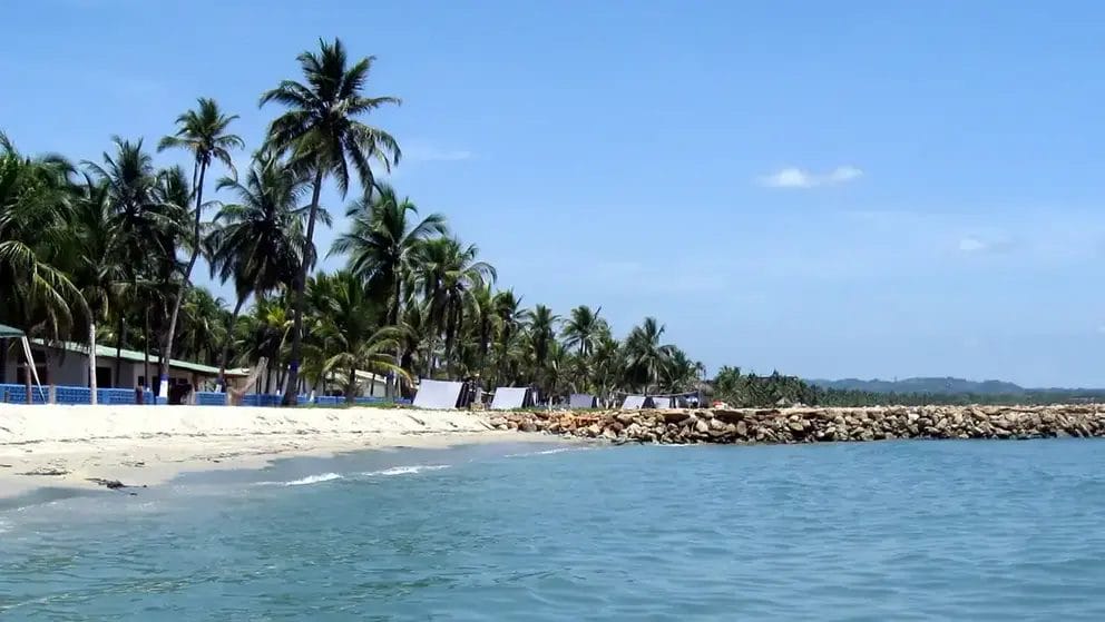 Una playa de arena bordeada de palmeras y edificios se extiende a lo largo de las claras aguas azules de un mar en calma bajo un cielo brillante y despejado, que recuerda la serena belleza de Coveñas.