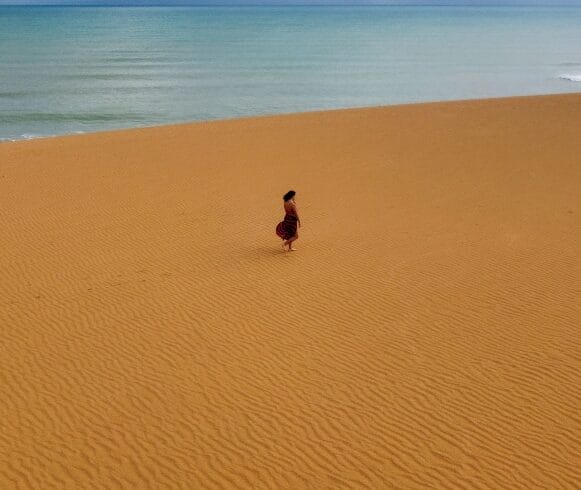 Una persona camina sola en una extensa playa de arena con el océano y el cielo nublado de fondo.