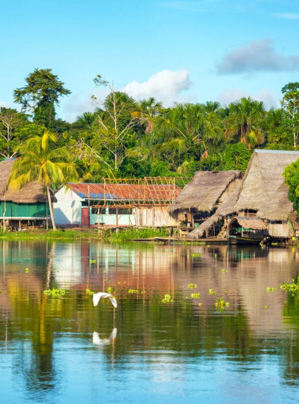 Amazon Jungle Village