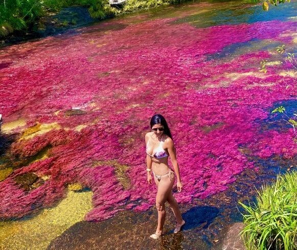 caño cristales pag web