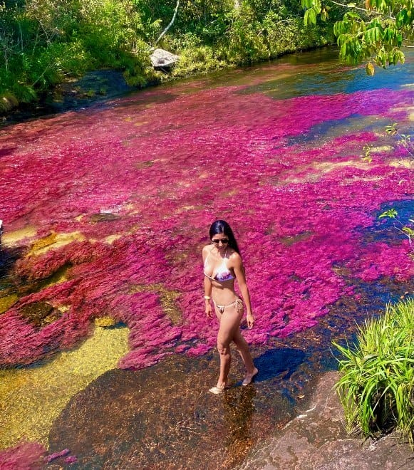 caño cristales pag web