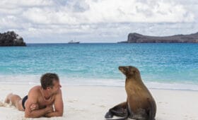 Ecuador, Galapagos Islands, Espanola, tourist and Galapagos sea lion on beach